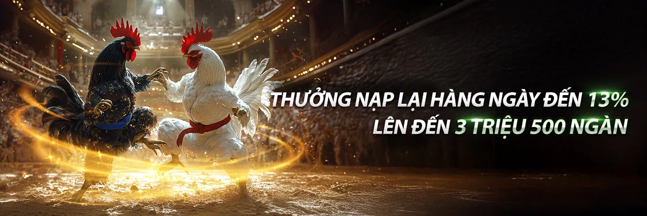 Đá Gà Trực Tuyến PK8 Casino